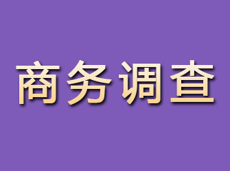 原平商务调查